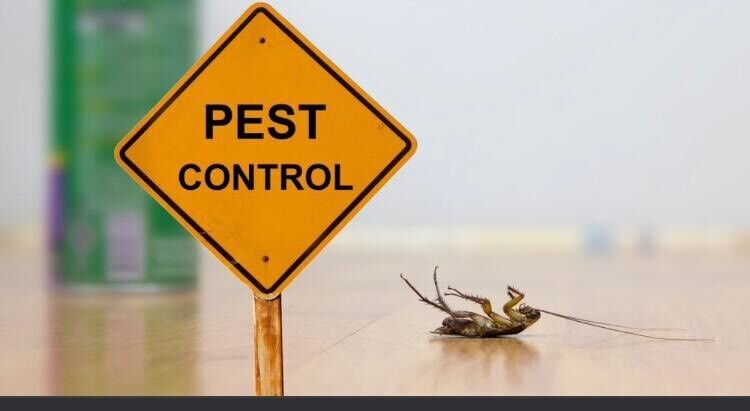 Same pest control leopold