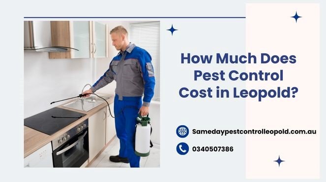 How Much Does Pest Control Cost in Leopold